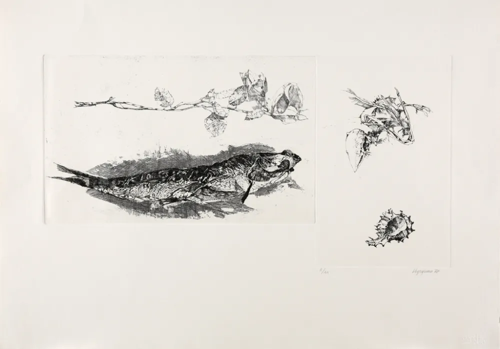 Stich Vespignani - Studi