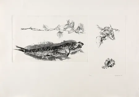 Stich Vespignani - Studi