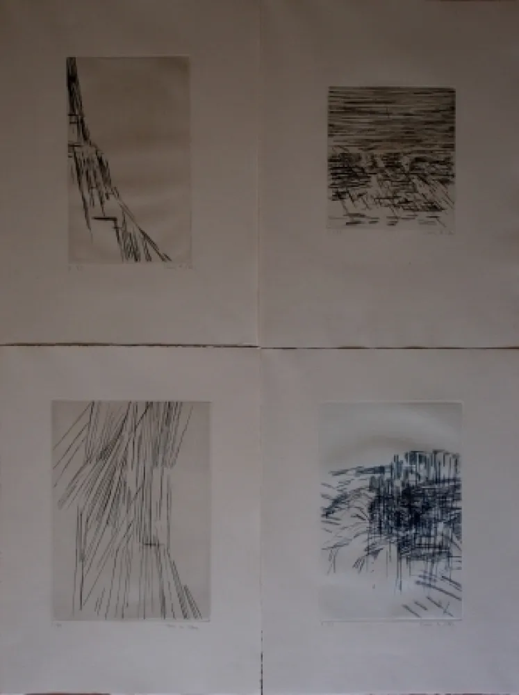 Illustriertes Buch Vieira Da Silva - Poésies