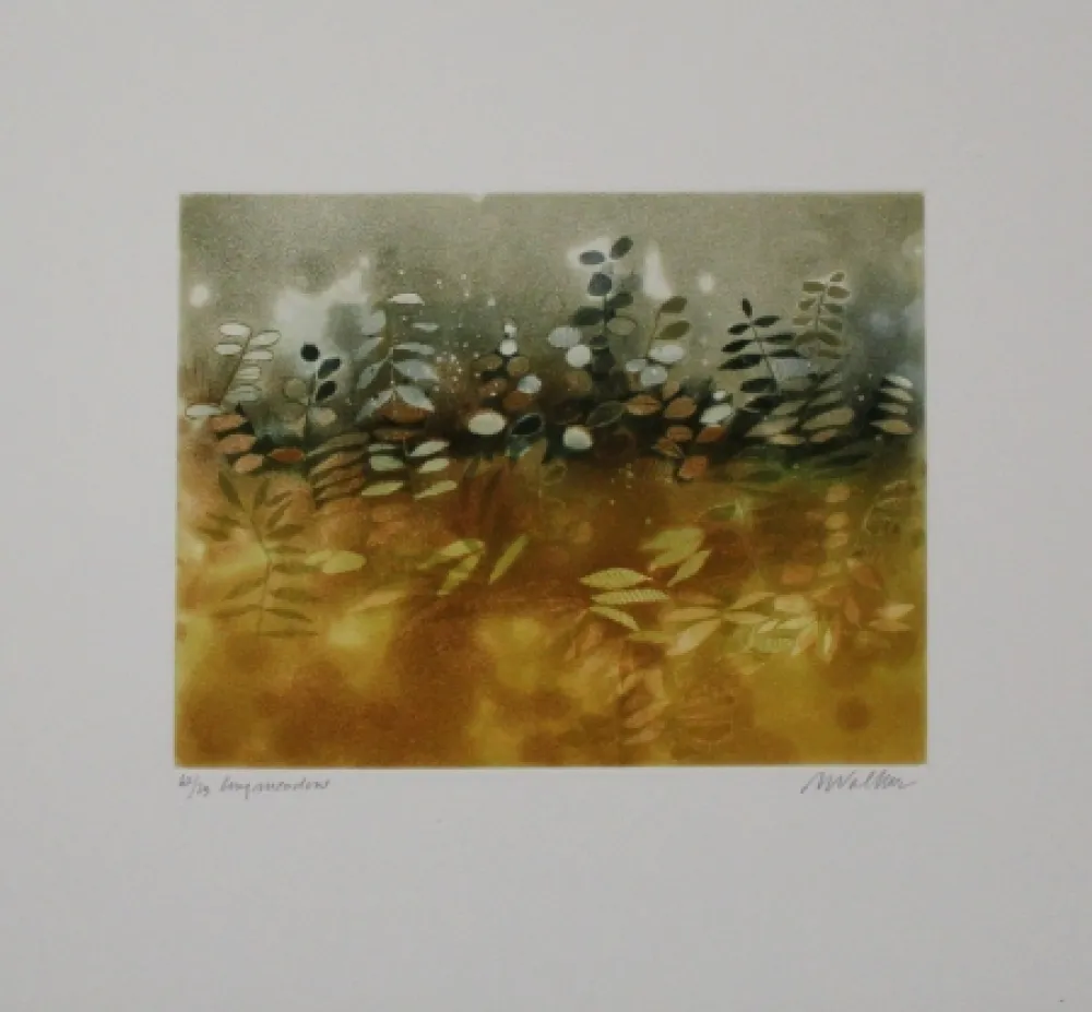 Radierung Und Aquatinta Walker - Longmeadow