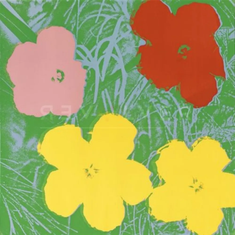 Siebdruck Warhol -  Flowers (FS II.65) by Andy Warhol 
