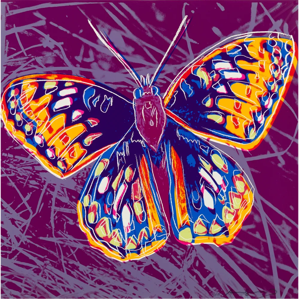 Siebdruck Warhol - San Francisco Silverspot (FS II.298)