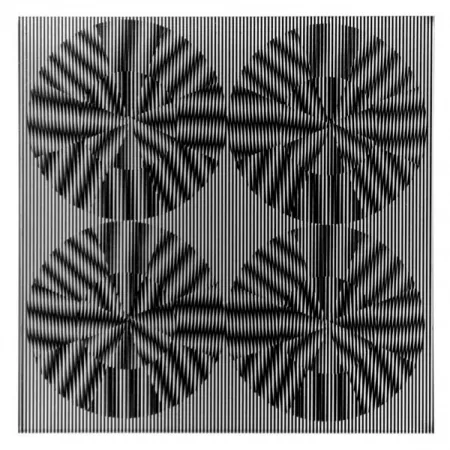 Multiple Wilding - SBT 2835