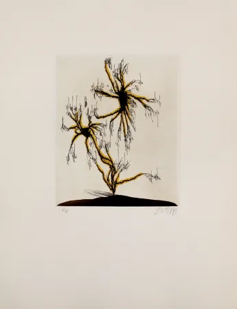 Radierung Und Aquatinta Zush - Anzuras