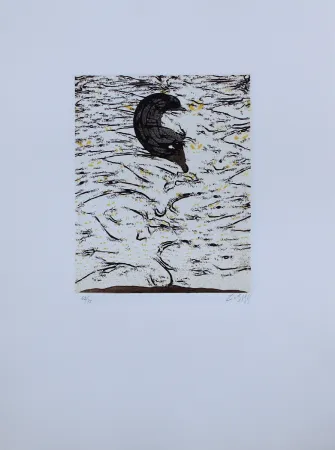 Radierung Und Aquatinta Zush - Sascape