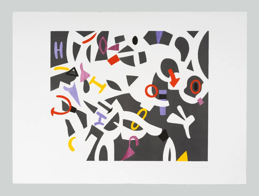 Stich Accardi - Composizione (B)