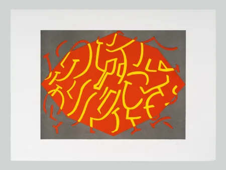 Stich Accardi - Composizione (C)