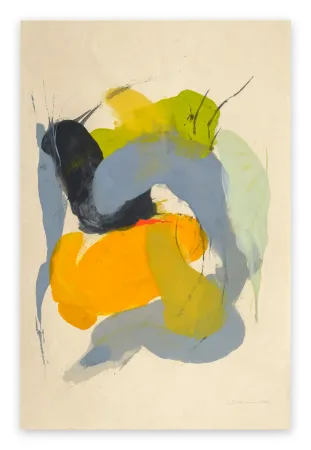 Keine Technische Adams - Guna WW