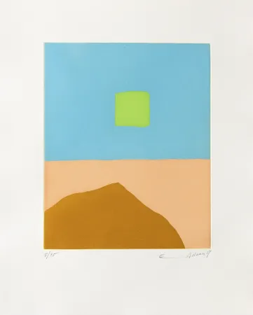 Stich Adnan - Feu du désert (Le)