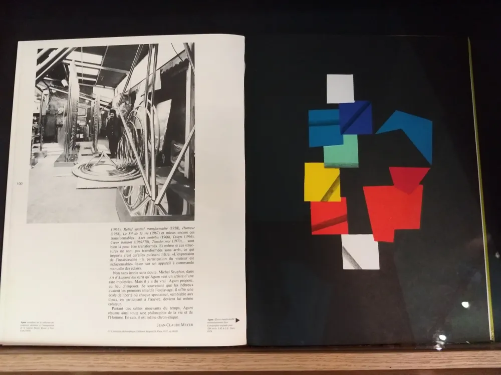 Illustriertes Buch Agam - No 51