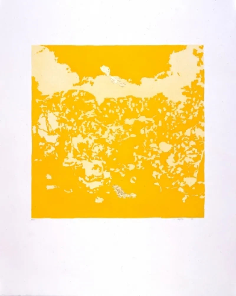 Aquatinta Agosti - Orphée N°II