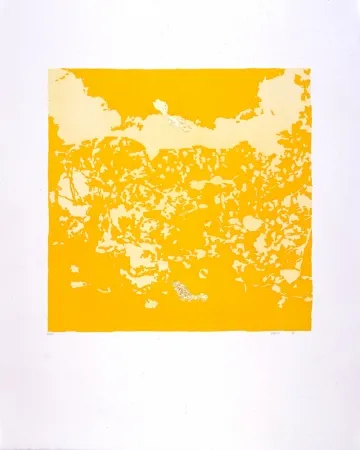 Aquatinta Agosti - Orphée N°II