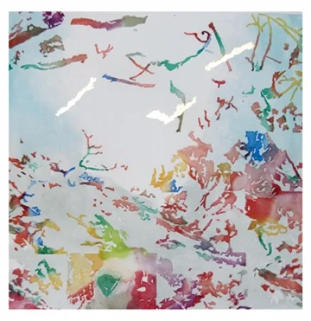 Aquatinta Agosti - Panseur de secret