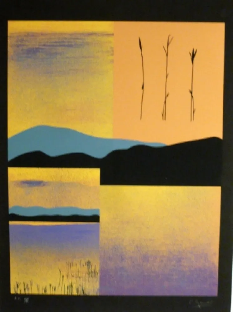 Siebdruck Aguade - Analitica 1