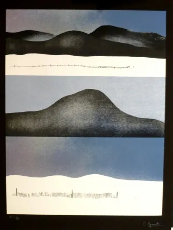 Siebdruck Aguadé - Analitica 10