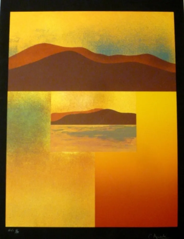 Siebdruck Aguadé - Analitica 4