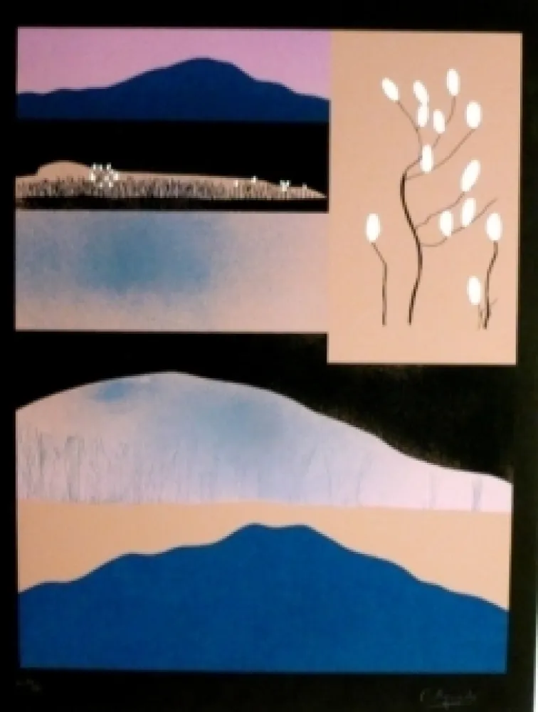 Siebdruck Aguade - Analitica 6