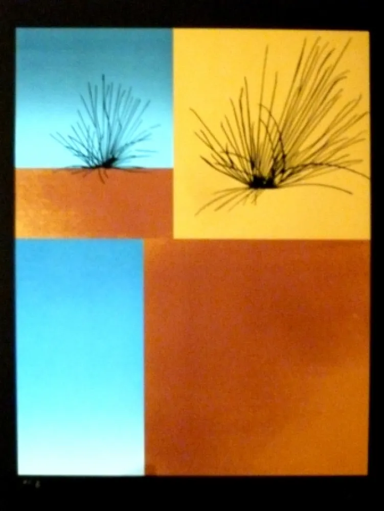 Siebdruck Aguade - Analitica 7