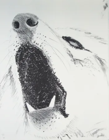 Illustriertes Buch Aillaud - L'Encyclopédie de tous les animaux - Tome III