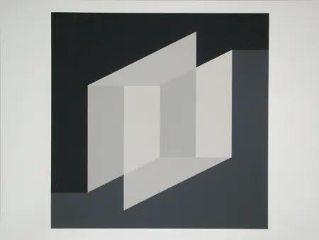 Siebdruck Albers - Never Before