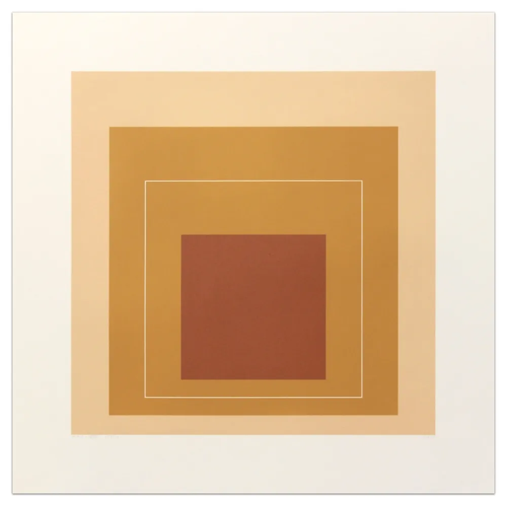 Lithographie Albers - White Lines Square XVI