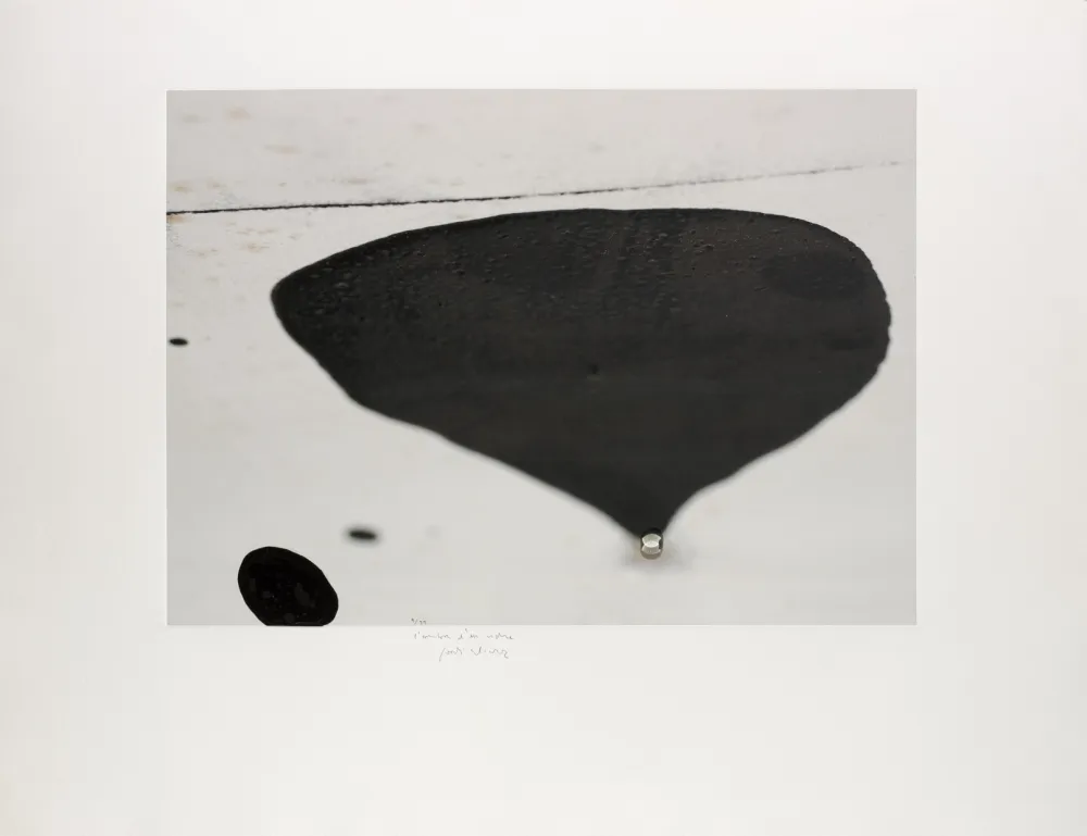 Siebdruck Alcaraz - L’ombra d’un vidre