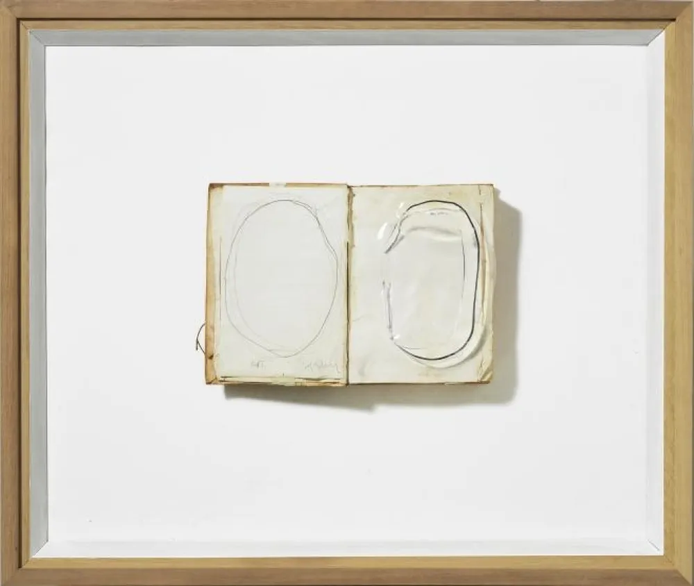 Stich Alcaraz - Sense títol 1