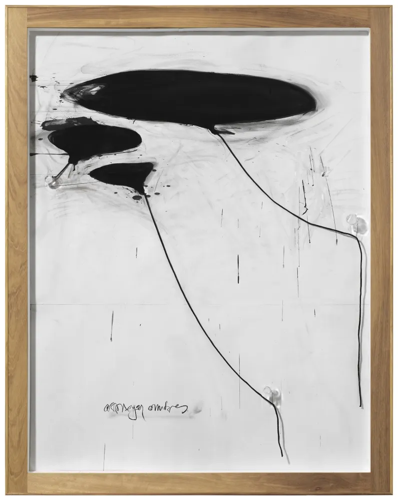 Keine Technische Alcaraz - Sin titulo