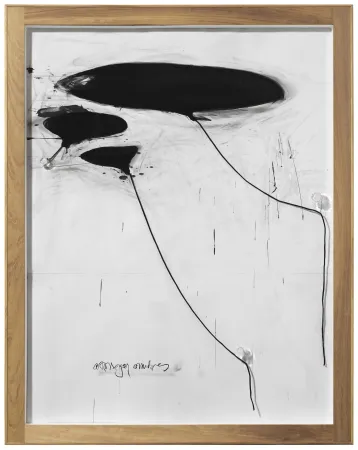 Keine Technische Alcaraz - Sin titulo