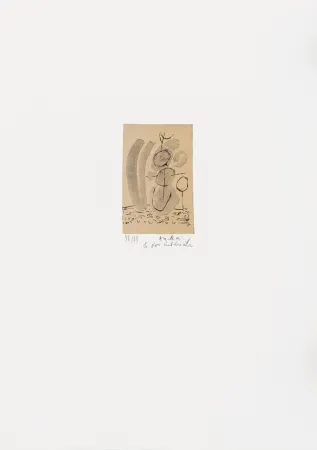 Lithographie Alechinsky - Expériences sans l'expérience 05