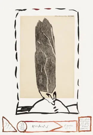 Radierung Alechinsky - Flore danoise 01 - Le magister