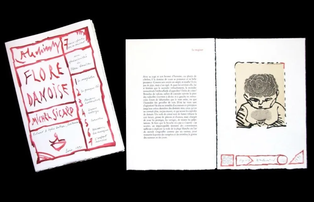 Illustriertes Buch Alechinsky - FLORE DANOISE