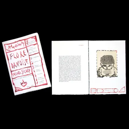 Illustriertes Buch Alechinsky - Flore danoise