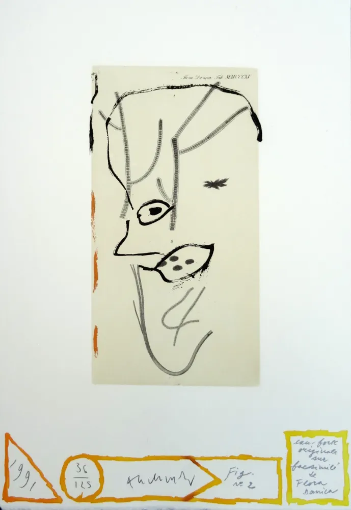 Radierung Alechinsky - Flore danoise : De presque-là