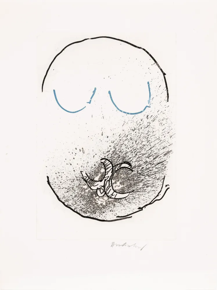 Radierung Und Aquatinta Alechinsky - Pointes Planche IX bis