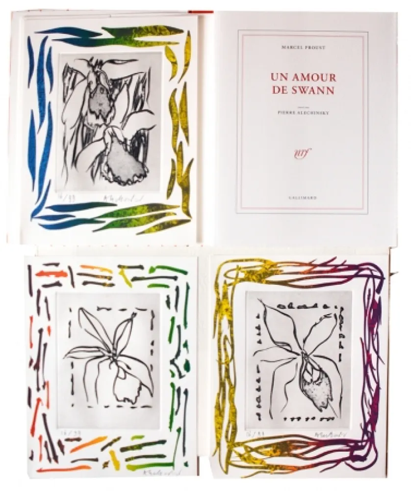 Illustriertes Buch Alechinsky - Un amour de Swann