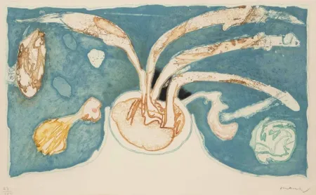 Radierung Und Aquatinta Alechinsky - Volcan de nuit