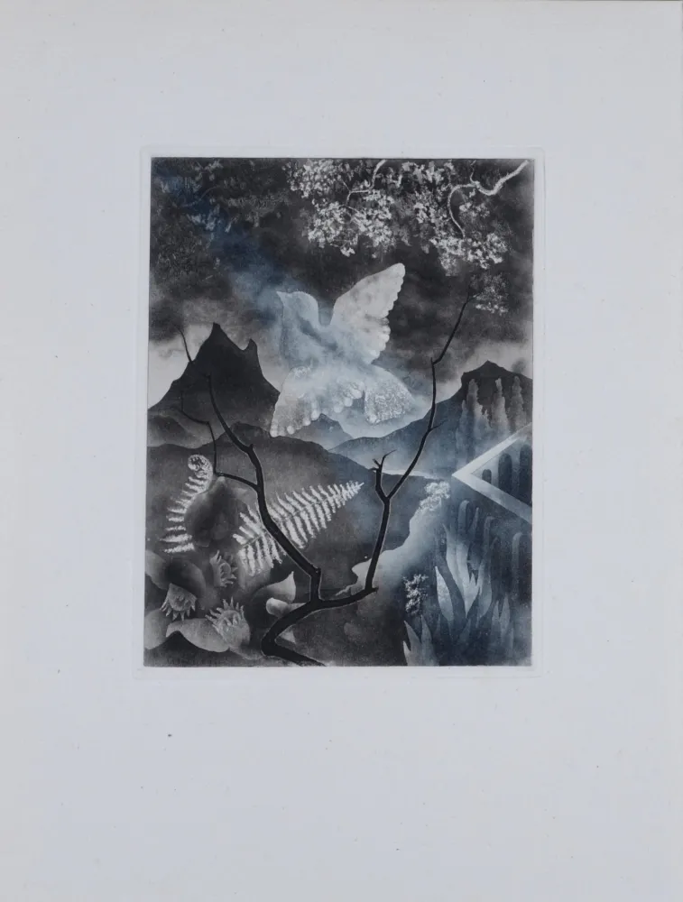 Stich Alexeïeff - The Dove