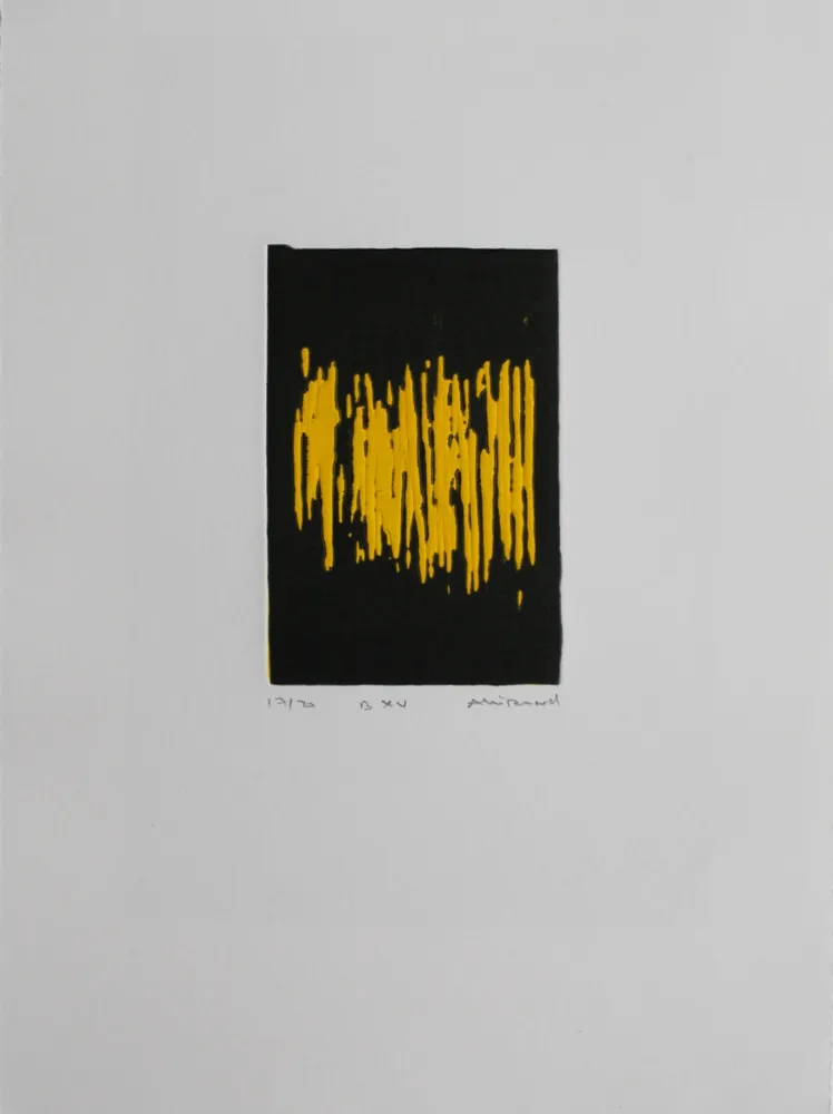 Aquatinta Allirand - B XV