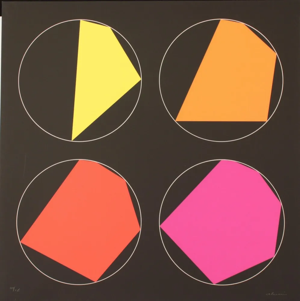 Siebdruck Alviani - PROGRESSIVI ISCRITTI NEL CERCHIO