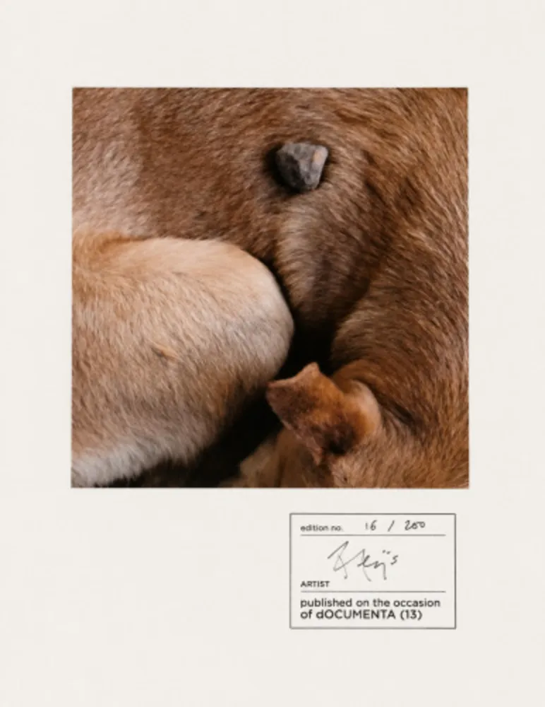 Fotografie Alÿs - Untitled (documenta 13)