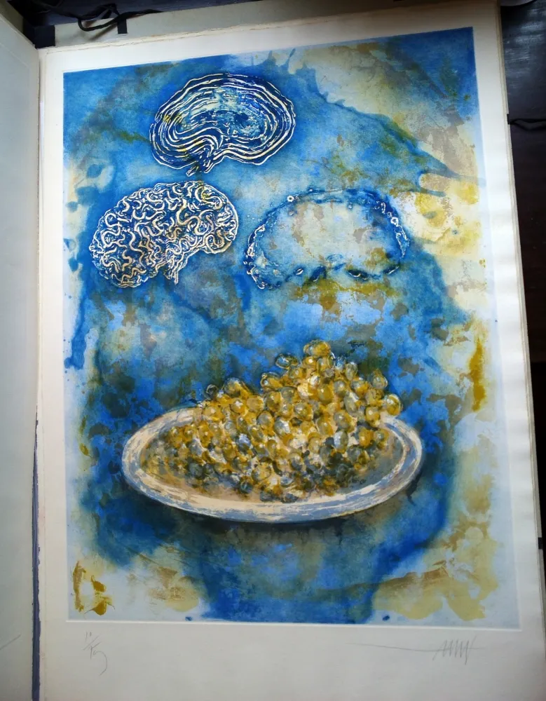 Illustriertes Buch Amat - La Ventada del somni