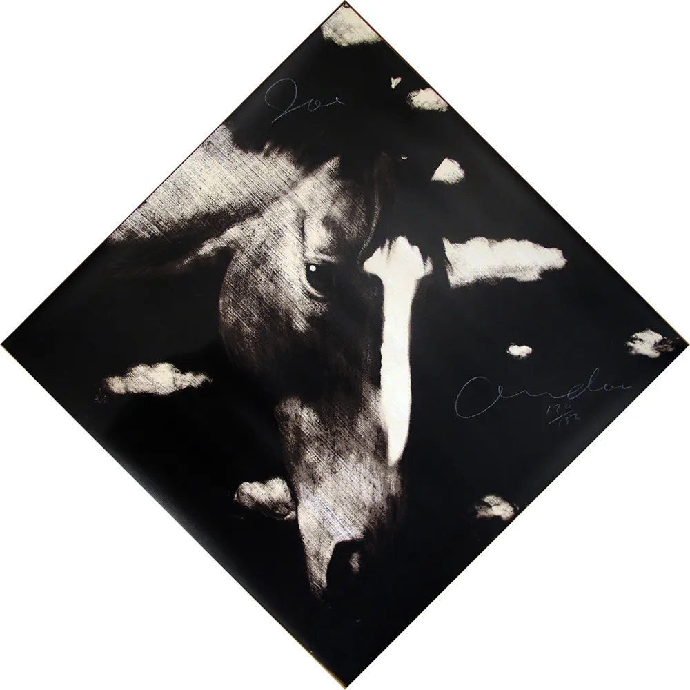 Siebdruck Andoe - Horse II