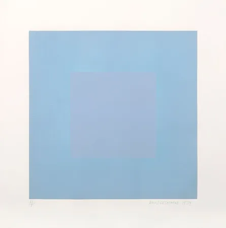 Aquatinta Anuszkiewicz - Winter Suite (Light Blue with Light Blue)
