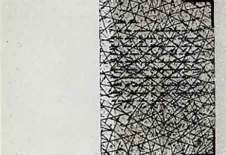 Stich Arakawa - Outside blank