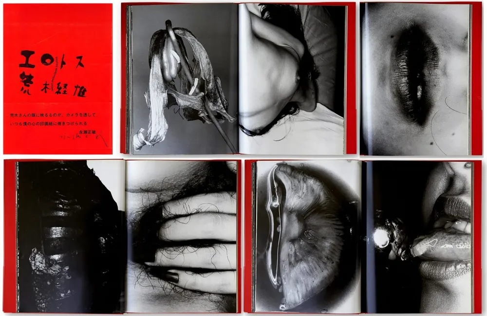 Illustriertes Buch Araki - EROTOS (1993)