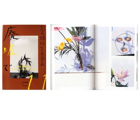 Fotografie Araki - The Works of Nobuyoshi Araki - n° 11. IN RUINS