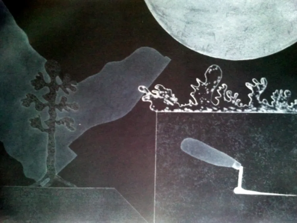 Stich Argimon - PALETA