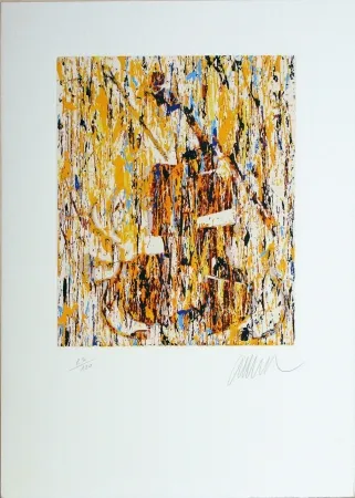 Siebdruck Arman - VIOLINO