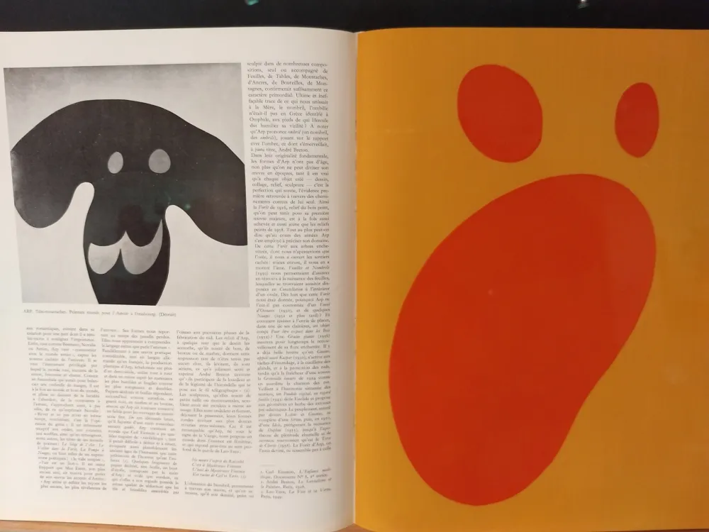 Illustriertes Buch Arp - Xxe No 11